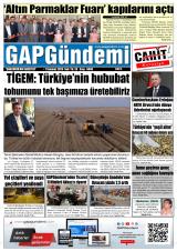 GAP GÜNDEMİ