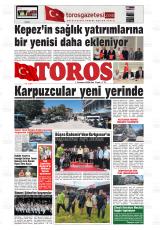 TOROS