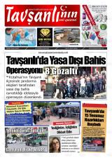 TAVŞANLININ SESİ