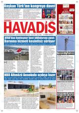 YEREL HAVADİS