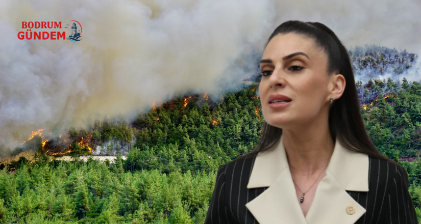 Mücadele yangın çıkınca değil, öncesinde başlamalı