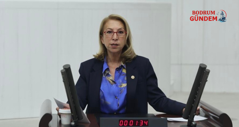 Öneş Derici Emeklilerin Yaşadığı Geçim Sıkıntısını Meclis Gündemine Taşıdı
