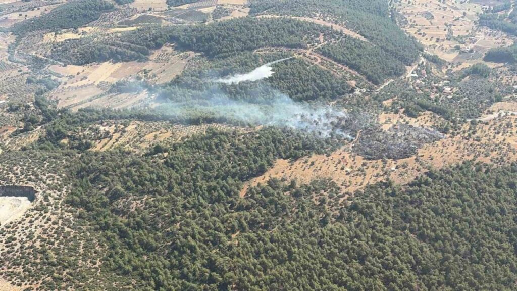 Milas’ta çıkan zirai yangın kısa sürede kontrol altına alındı