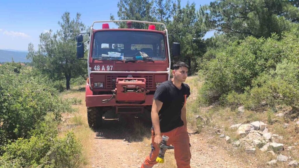 Orman yangını ekiplerin hızlı müdahalesi ile söndürüldü