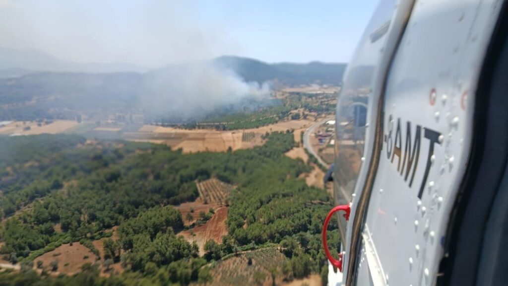 Seydikemer’de orman yangını
