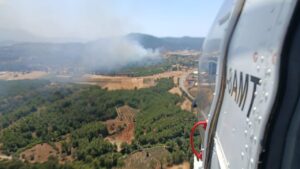 Seydikemer’de orman yangını