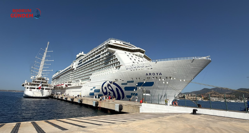 Aroya ve Club Med 2 Bodrum’a Demirledi