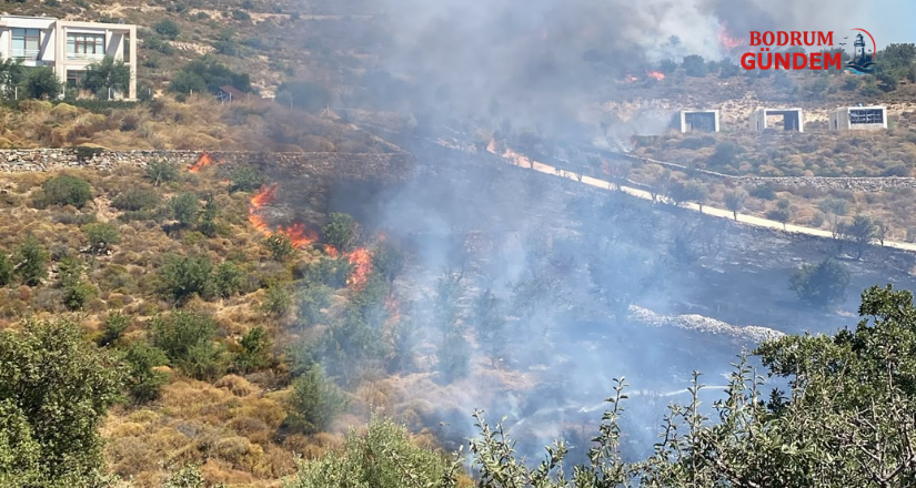 Dereköy’de Yangın