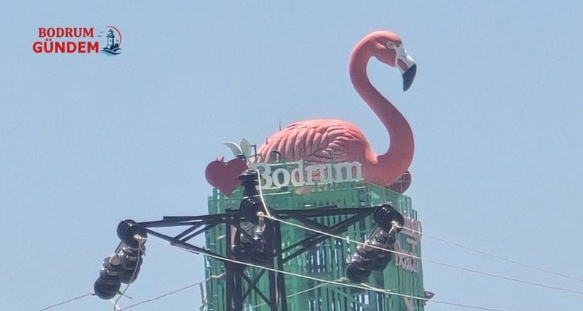 Flamingo Tartışmasına Dikkat Çeken Açıklama
