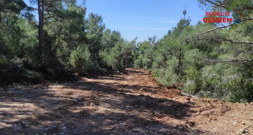 Göktepe-Bardakçı Orman Yolu TBMM Gündeminde
