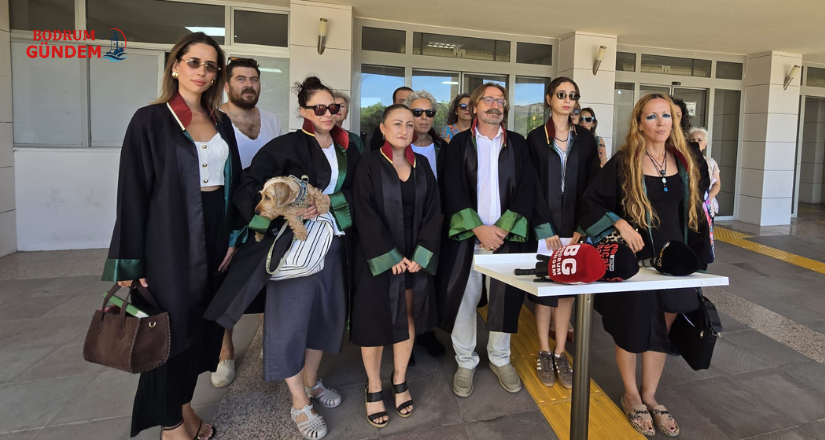 Sokak Hayvanlarını Hedef Gösteren Paylaşımlar Hakkında Suç Duyurusu