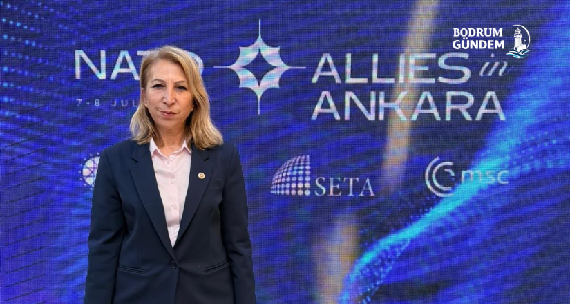 Süreyya Öneş Derici NATO Güvenlik Konferanslarında Katıldı