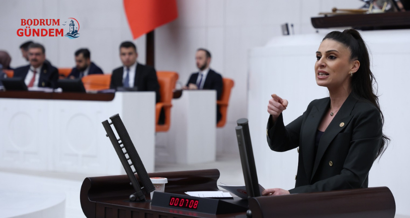 Turizmde 2026 Alarmı: Özcan Bakanlığa Risk ve Eylem Planını Sordu