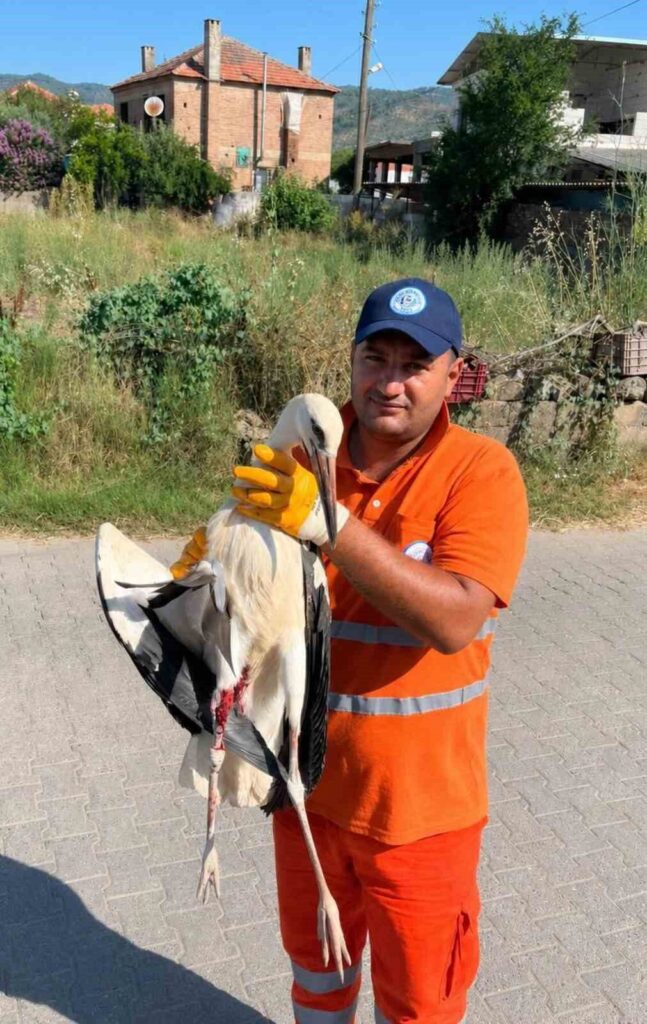 Temizlik personelinin duyarlılığı yaralı Leyleğe umut oldu